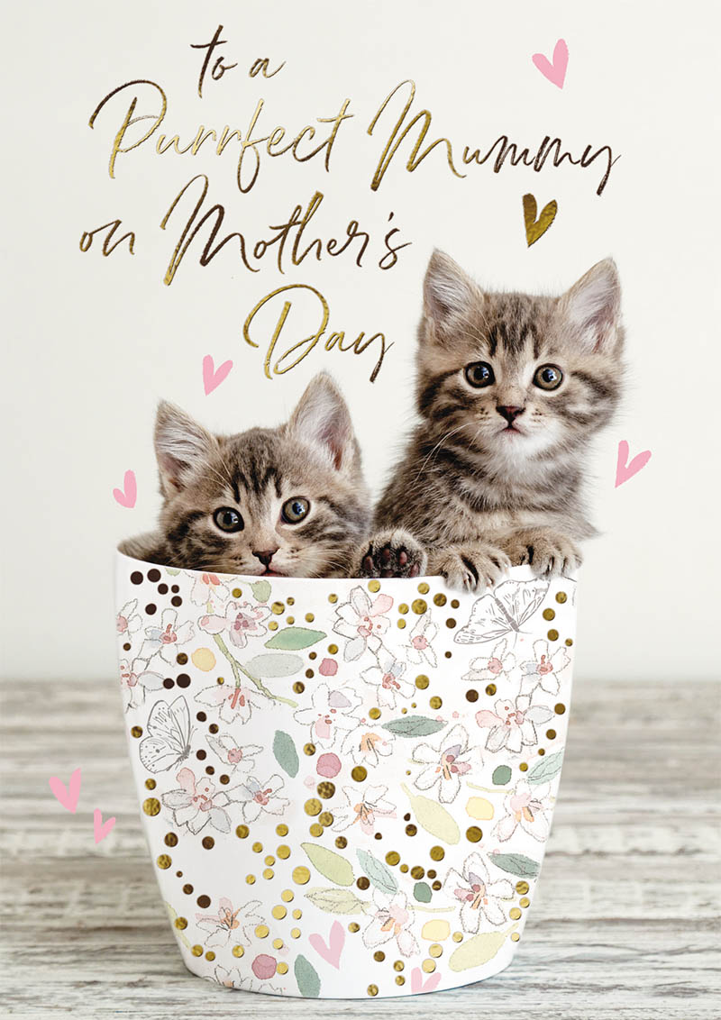 Mothers Day Card: Purrfect Mummy Mug