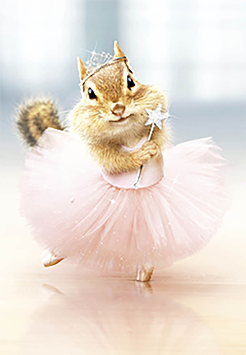Mothers Day Card: Avanti Chipmunk Ballet
