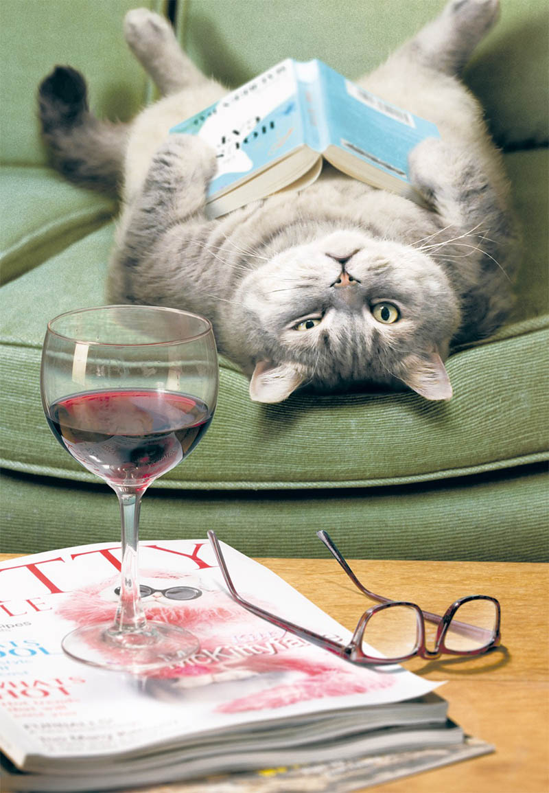 Mothers Day Card: Avanti Wine Cat