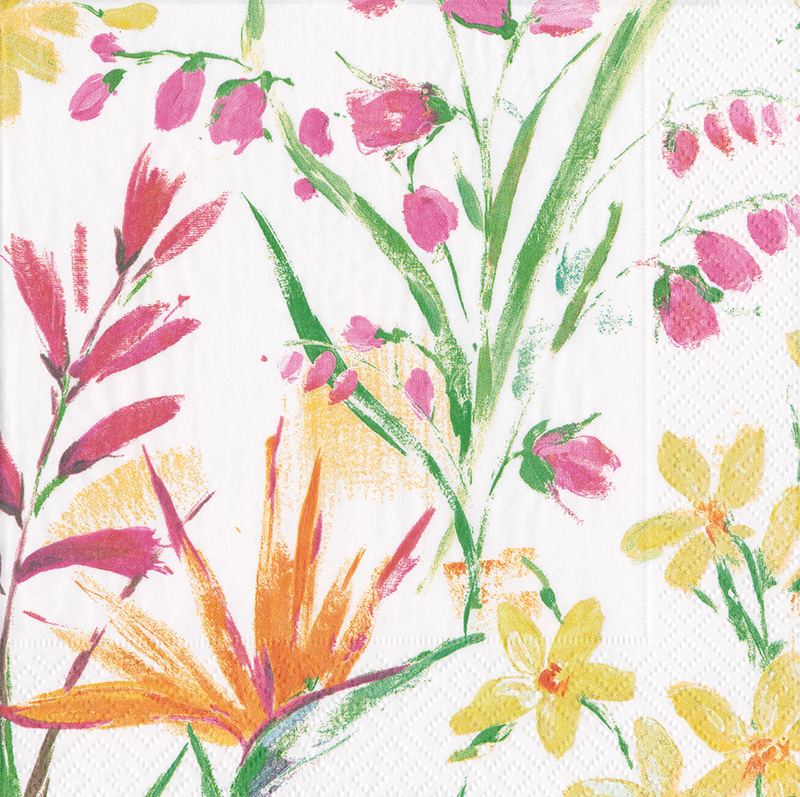 Napkin (Cocktail): Brush Stroke Floral