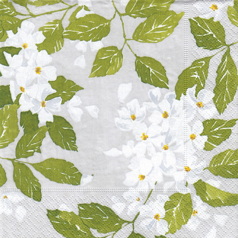 Napkin (Cocktail): Blancs De Blancs