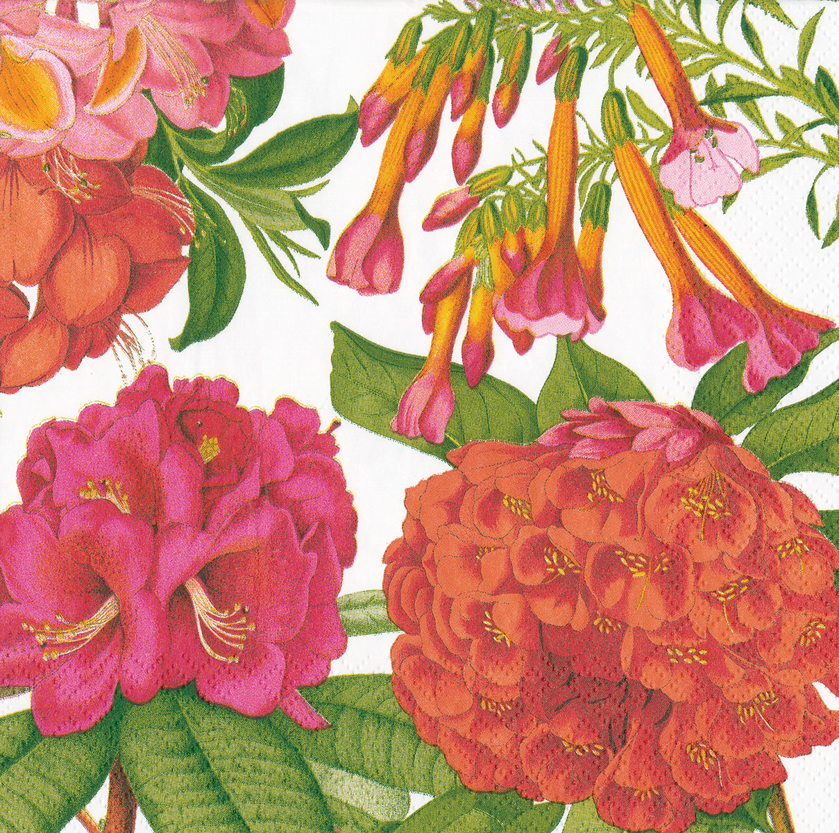 Napkin (Lunch): Jeffersons Garden