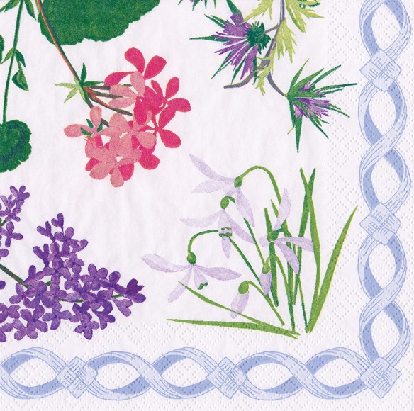 Napkin (Cocktail): Delany Flower White