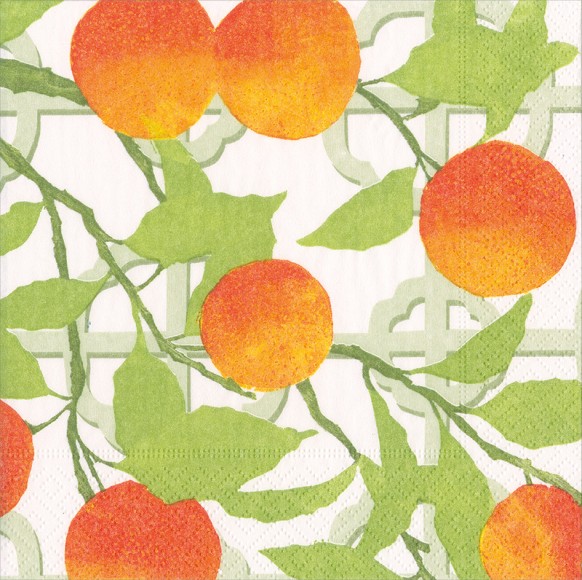 Napkin (Lunch): Orange Grove