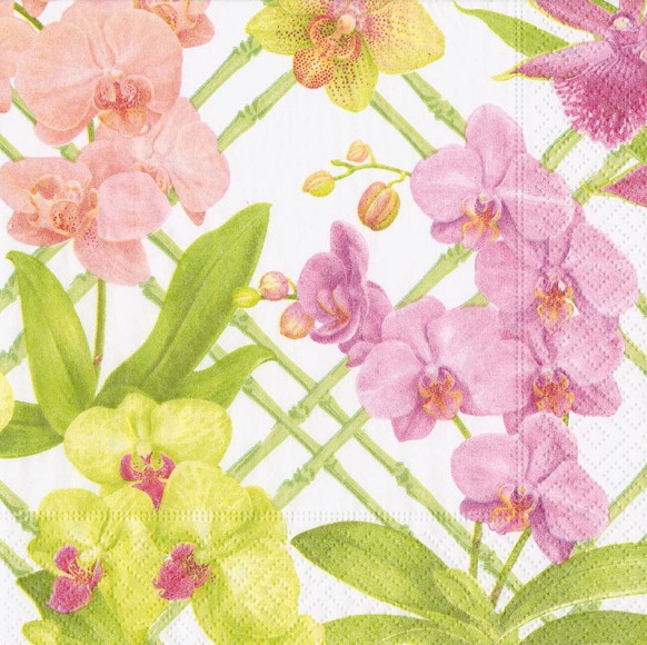 Napkin (Cocktail): Orchid Conservatory