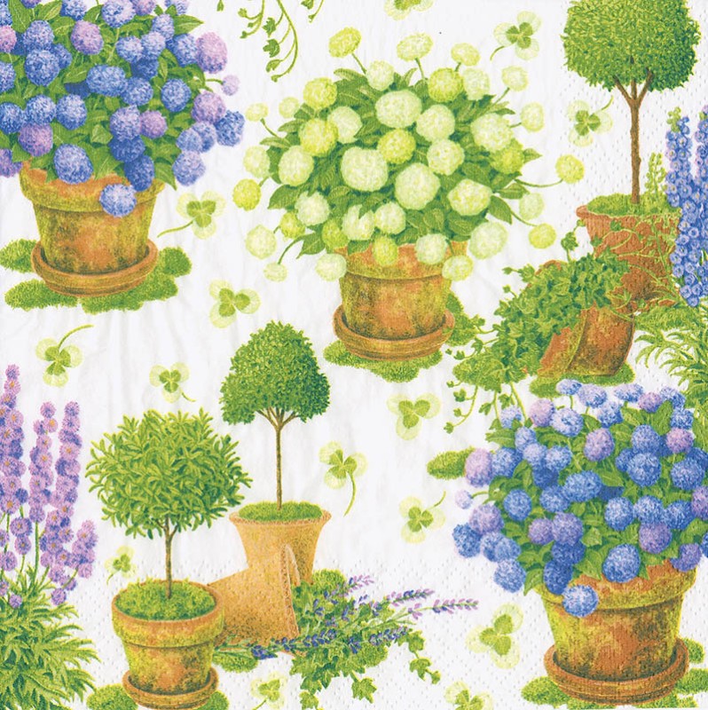 Napkin (Cocktail): Potted Hydrangeas