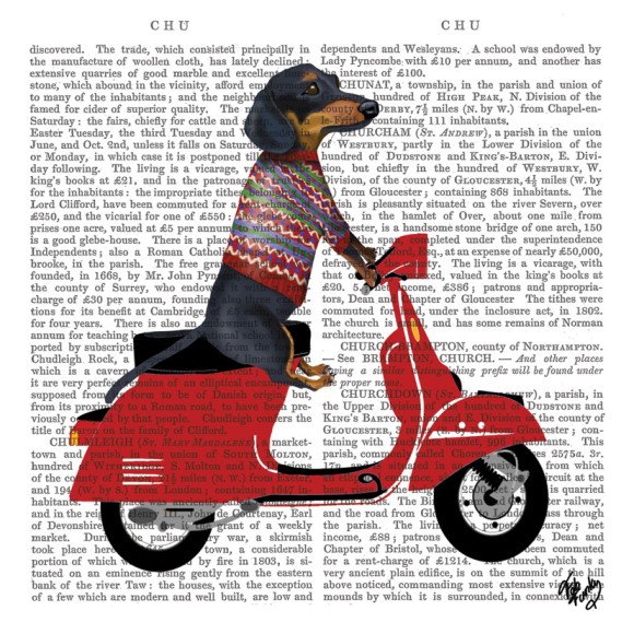 Napkin (Cocktail): William