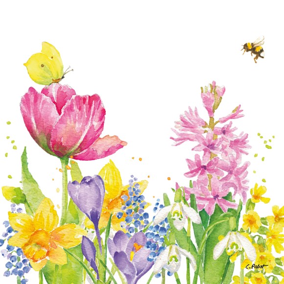 Napkin (Lunch): Butterfly & Bee