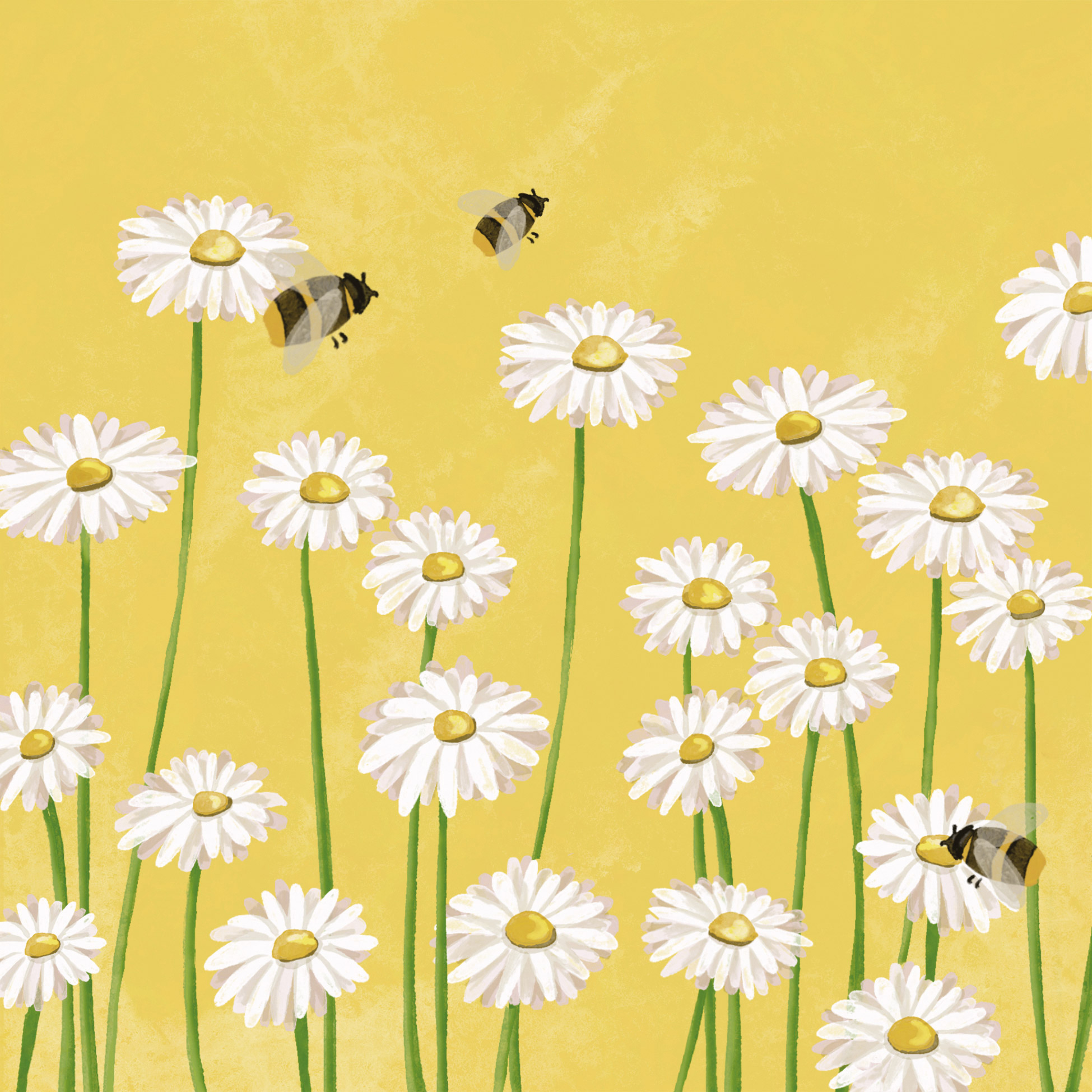 Napkin (Lunch): Bees & Flowers