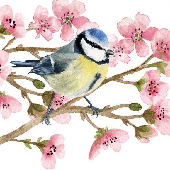 Napkin (Cocktail): Oiseau Printemps