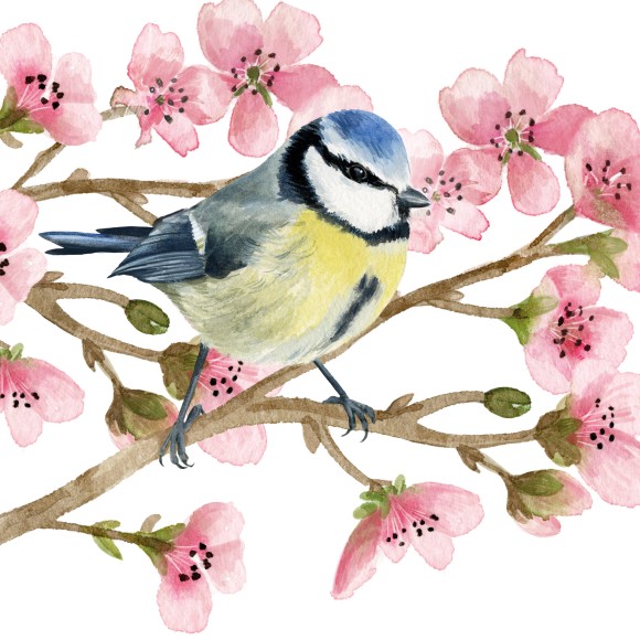 Napkin (Lunch): Oiseau Printemps