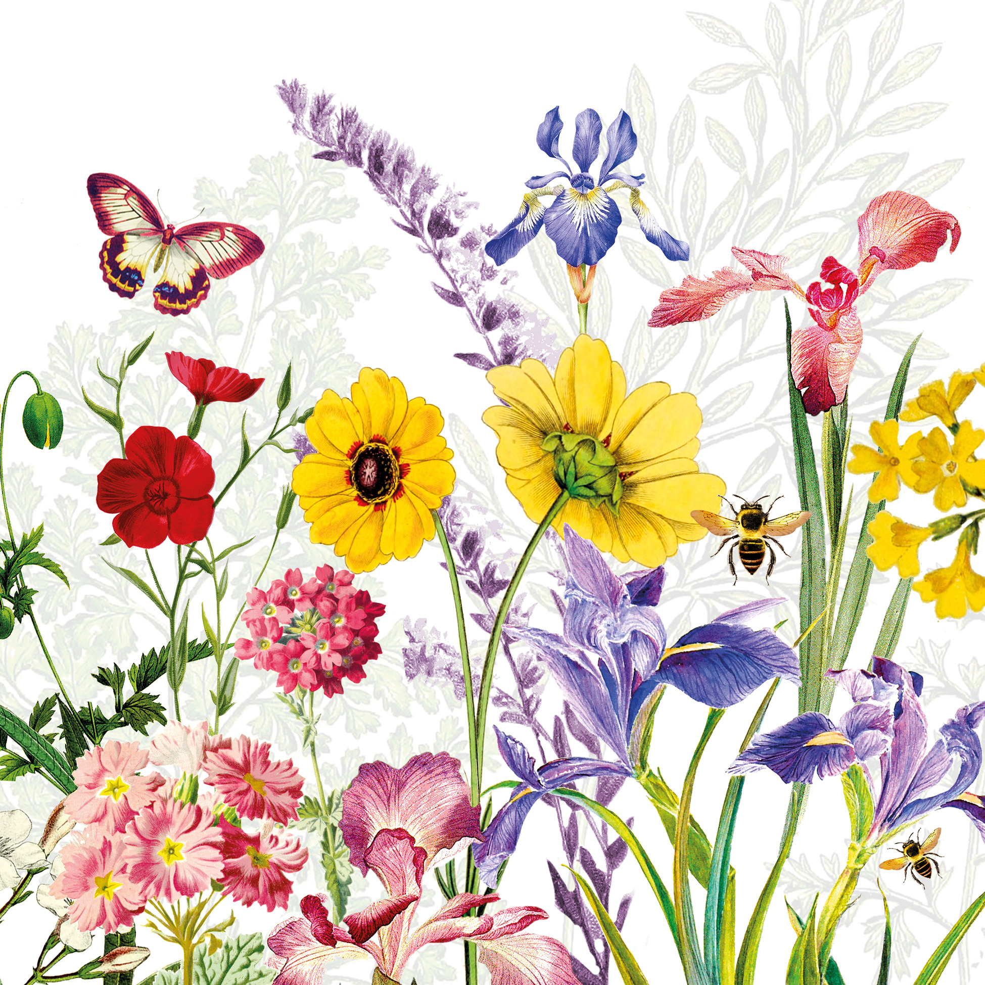 Napkin (Lunch): Imagination