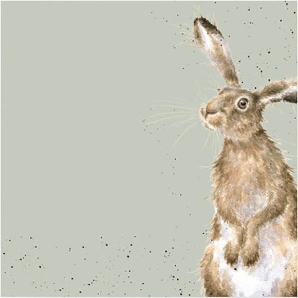 Napkin (Cocktail): Hare