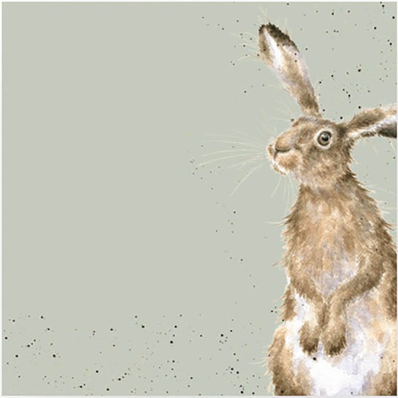 Napkin (Lunch): Hare