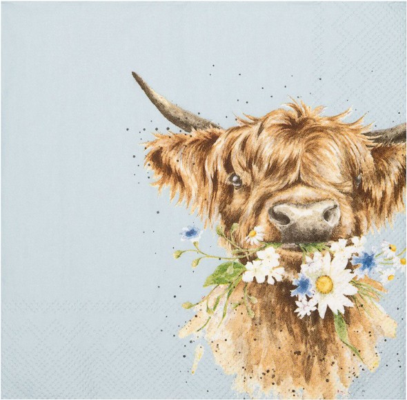 Napkin (Cocktail): Daisyow