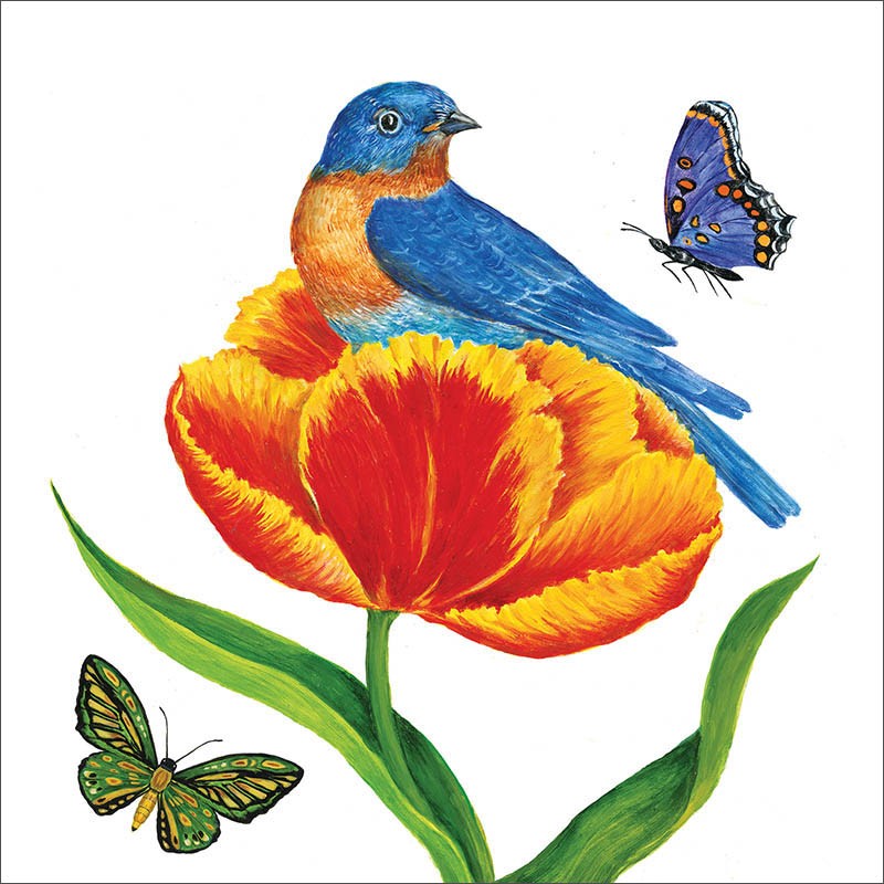Cocktail Napkin Pack - Tulip Nest