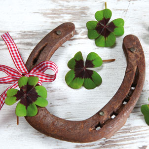 Lunch Napkin Pack - Lucky Charm