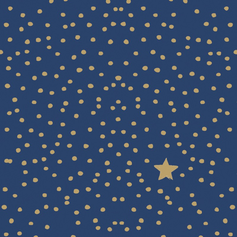 Lunch Napkin Pack - The Star Money Blue