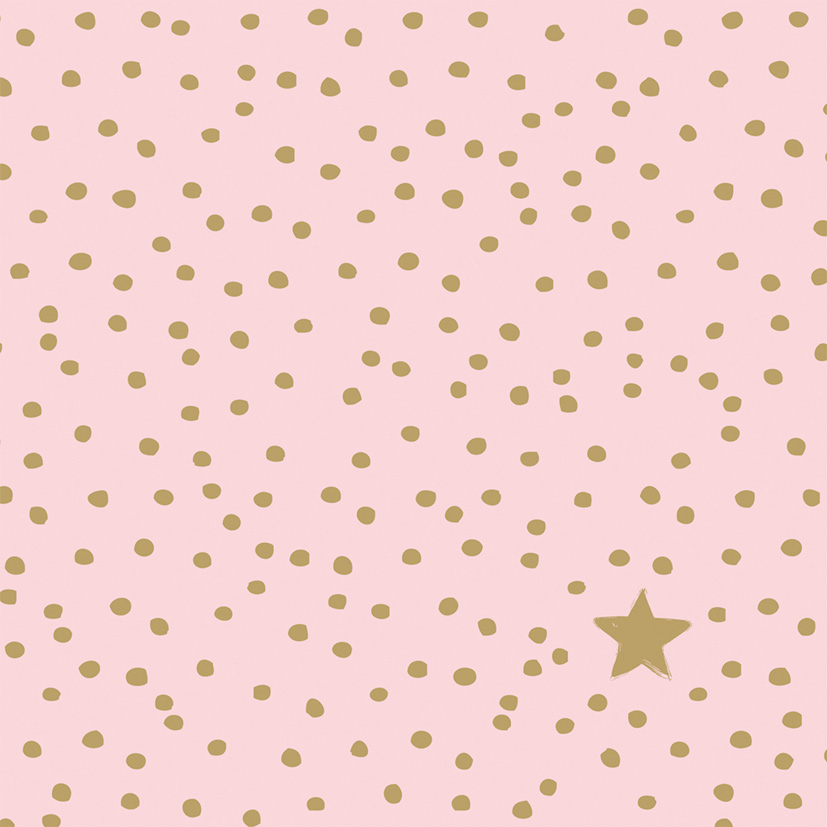 Lunch Napkin Pack - The Star Money Rose