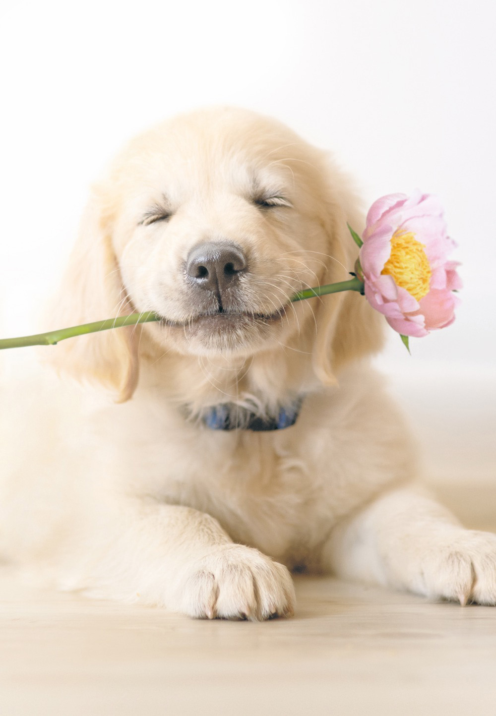 Mothers Day Card: Av Hugs And Kisskind Of Day