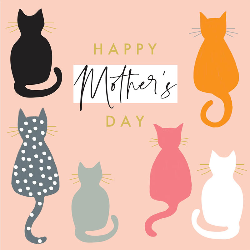 Mothers Day Card: Aura Multi Cats