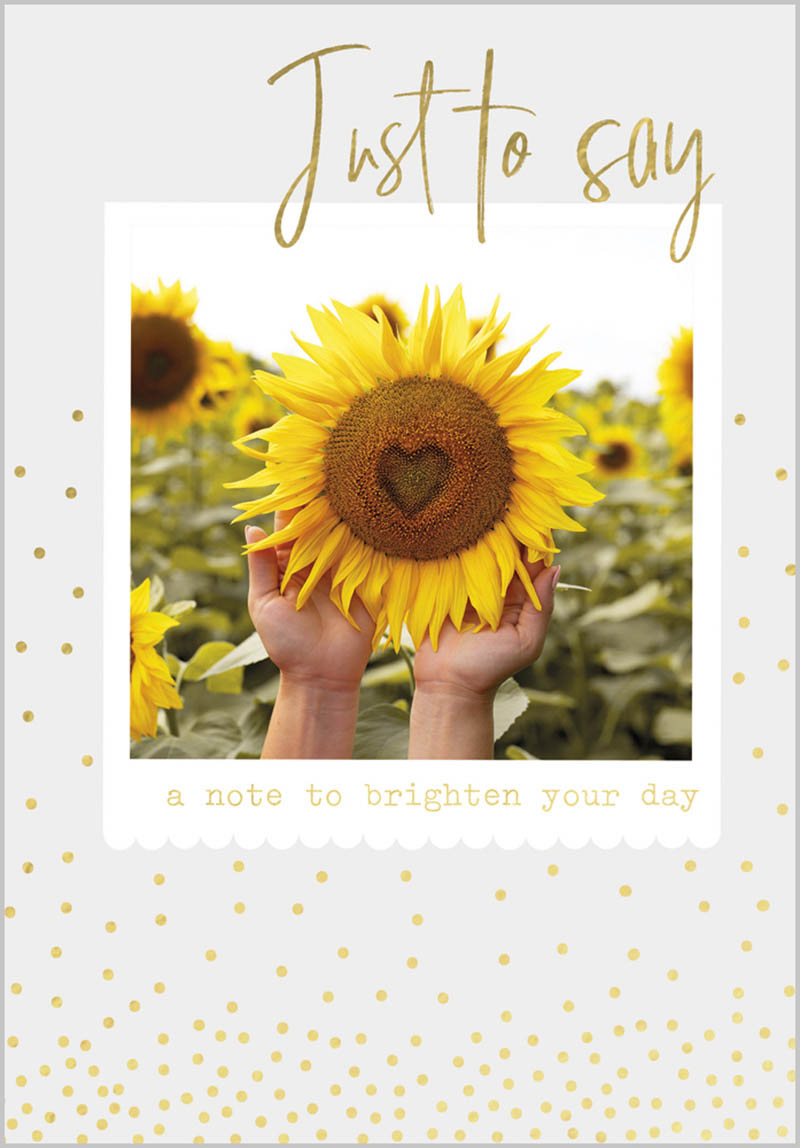 Snap Shot: Sunflower Brighten