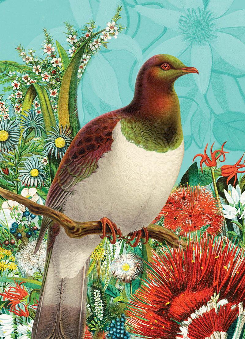 Mini: Reuben Price Pigeon