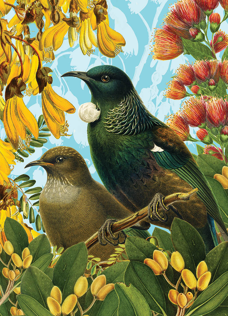 Mini: Reuben Price Tui