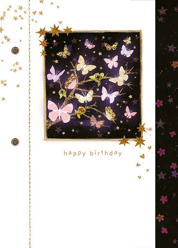 Midsummer Dream: Birthday Butterflies