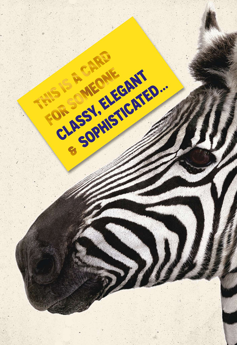Humour Zebra Classy