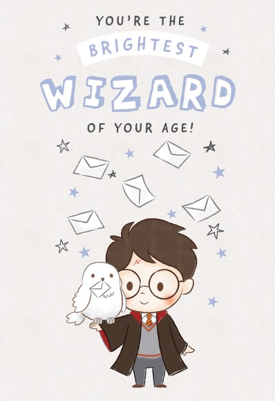 Harry Potter Wizrd