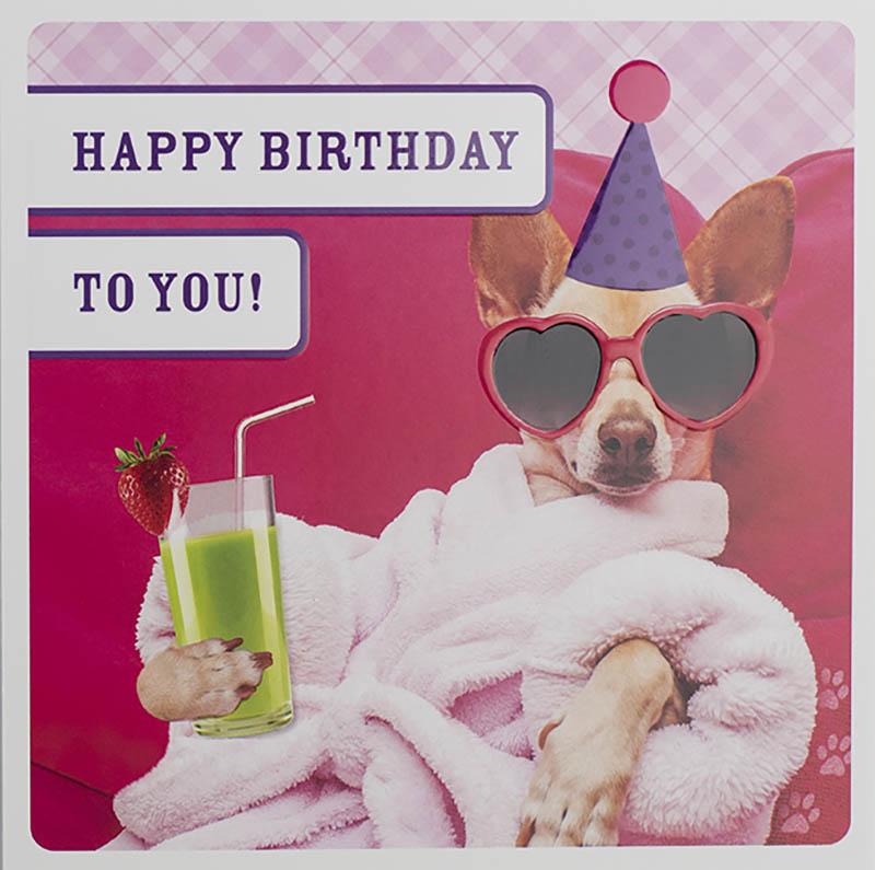 Route 69: Dog Chilling Out