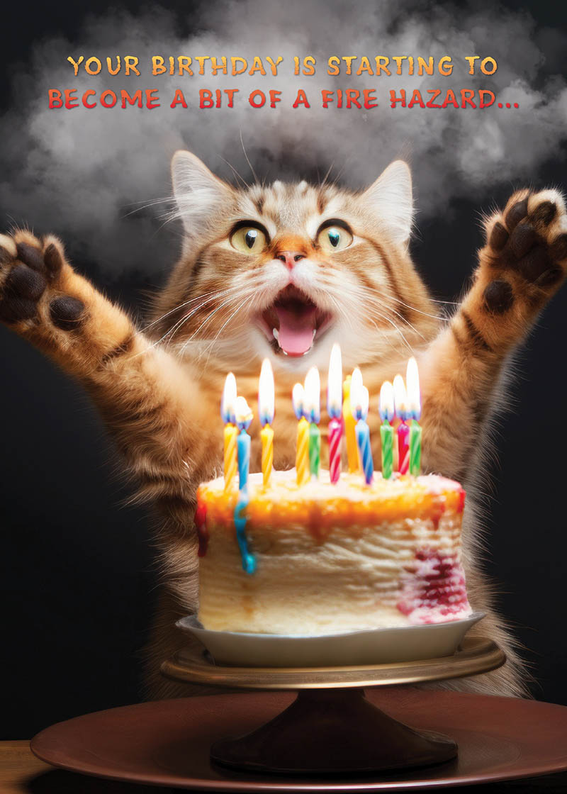 Humour Birthday Fire Hazard