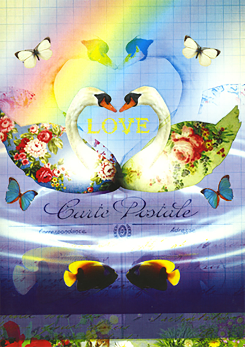 Since Knowing: Floral Swans