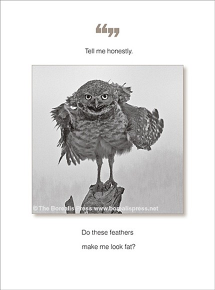 Quoteunquote: Feather Fat