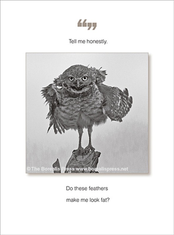 Quoteunquote: Feather Fat