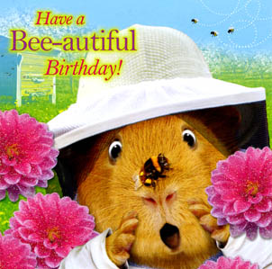 Crazy Gang: Beeautiful Birthday