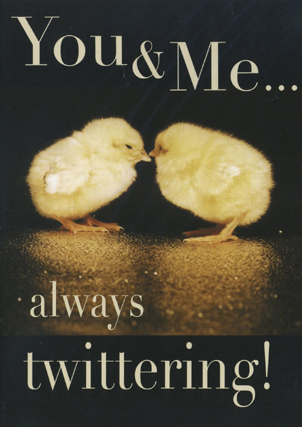 Spike: Chicks Twittering
