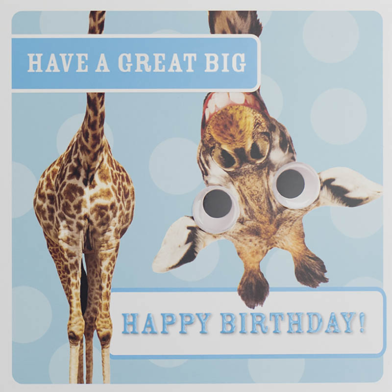 Route 69: Giraffe Great Big Bd