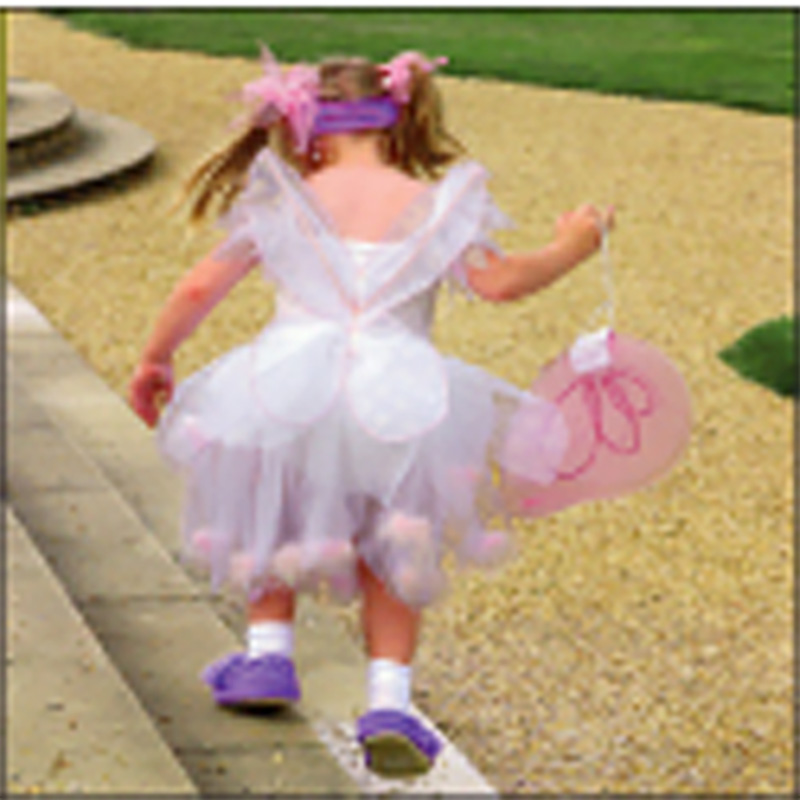 Gumdrops: Fairy On Steps