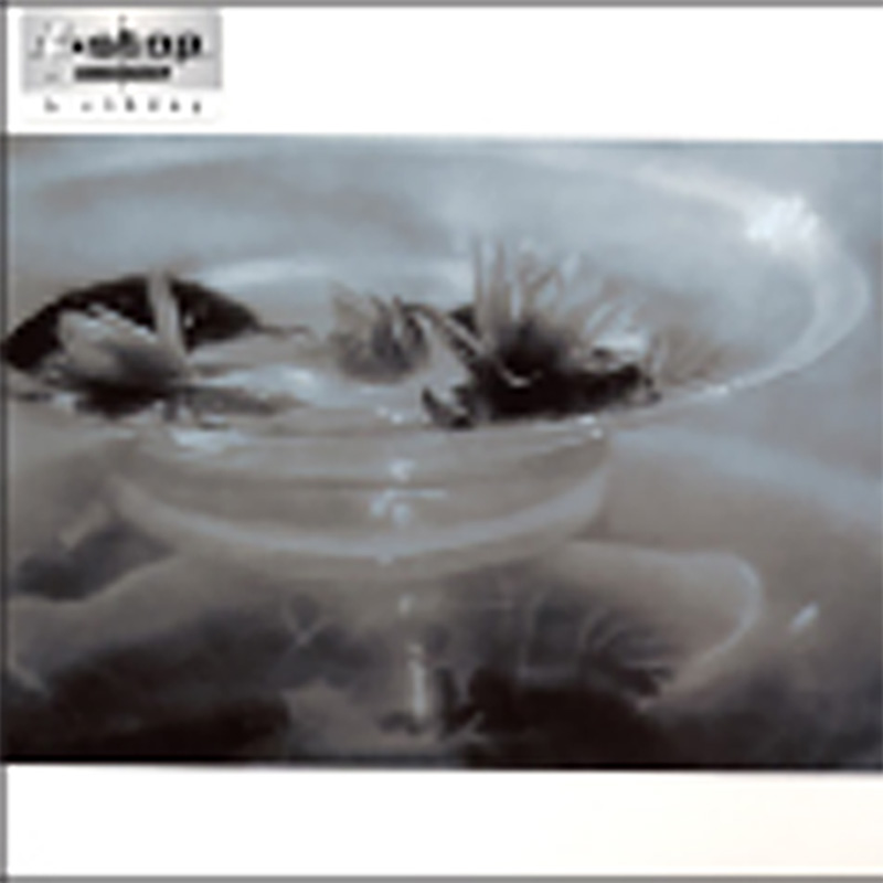F-Stop Sq:Waterlillies
