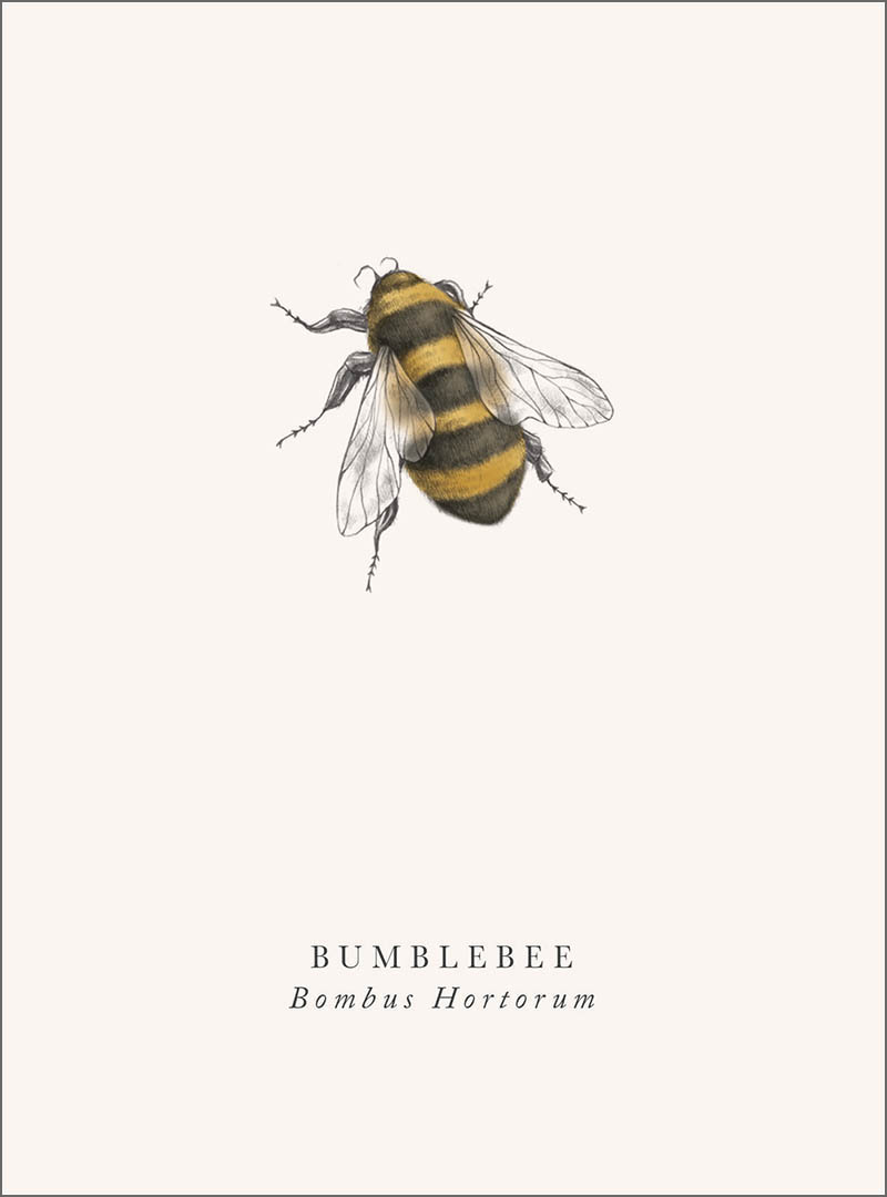 Book & Botanicals: Bumblebee
