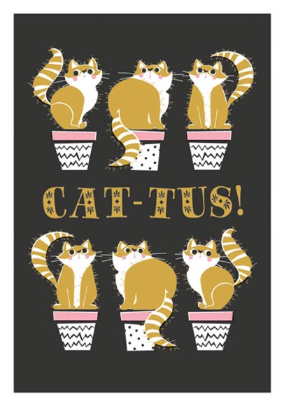 Cool For Cats: Cattus
