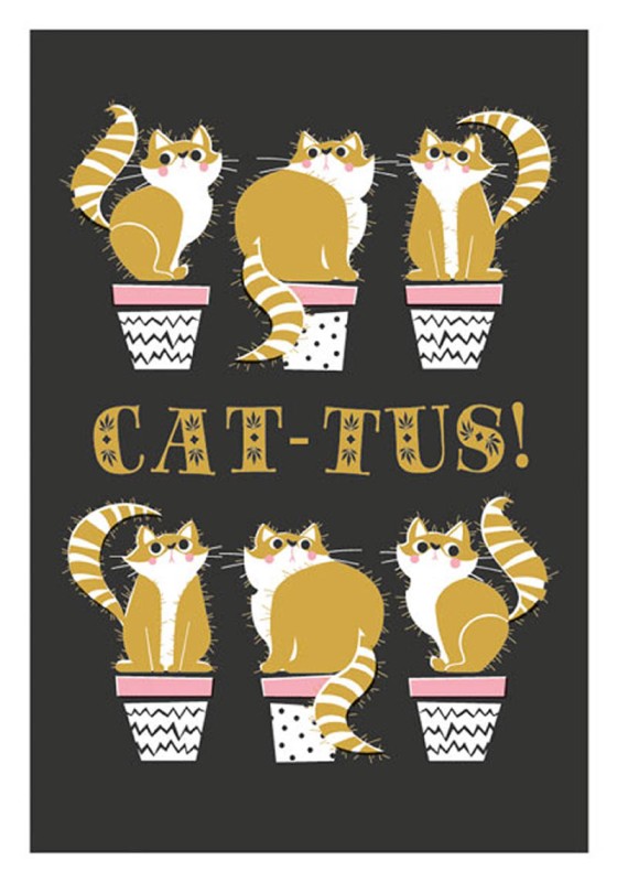 Cool For Cats: Cattus