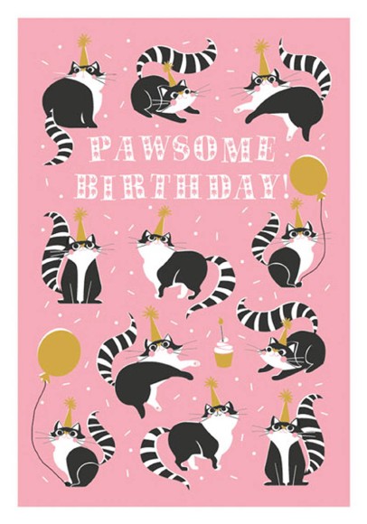 Cool For Cats: Pawsome Birthday