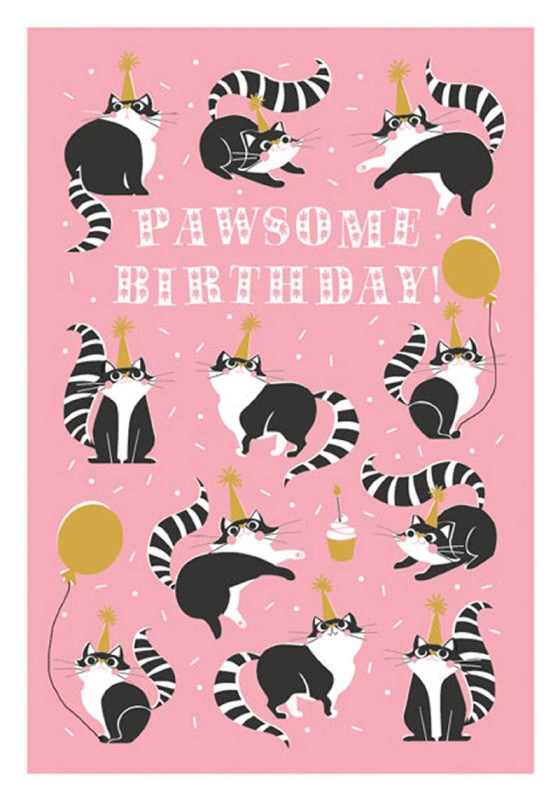 Cool For Cats: Pawsome Birthday