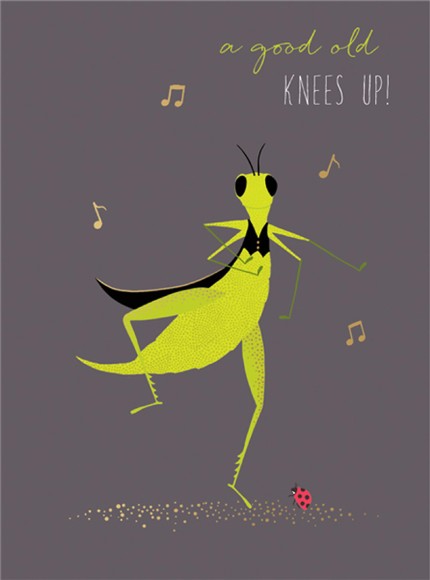 Sara Miller Piccadilly: Kneesup