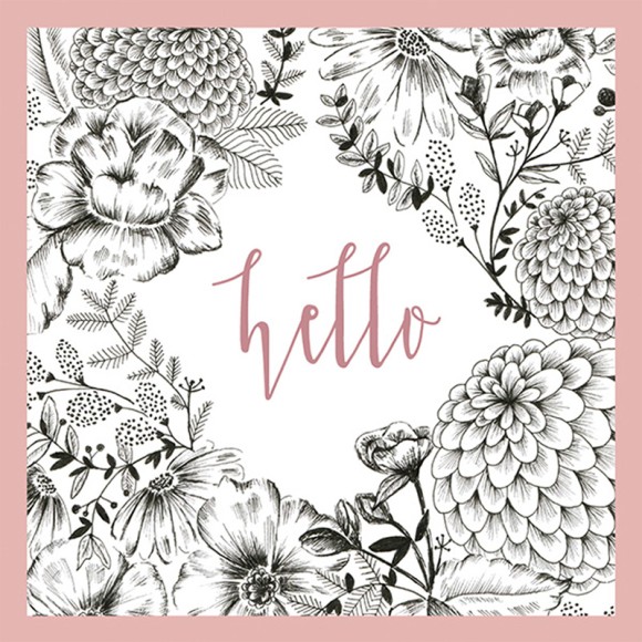 Spirit: Hello Black Sketch