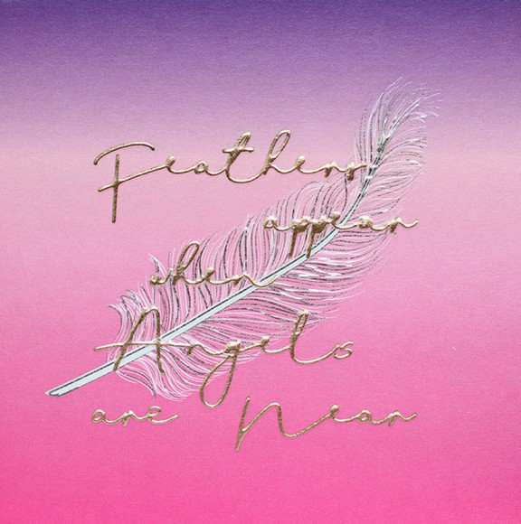 Bee: Feathers Appear