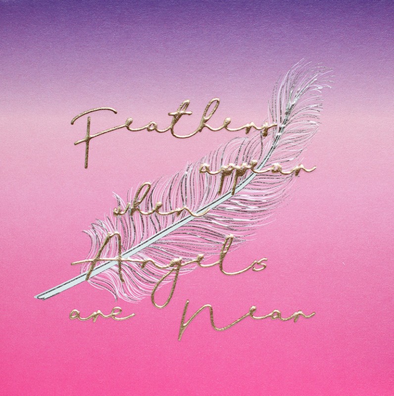 Bee: Feathers Appear